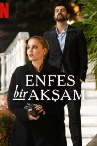 Восхитительный вечер турецкий сериал